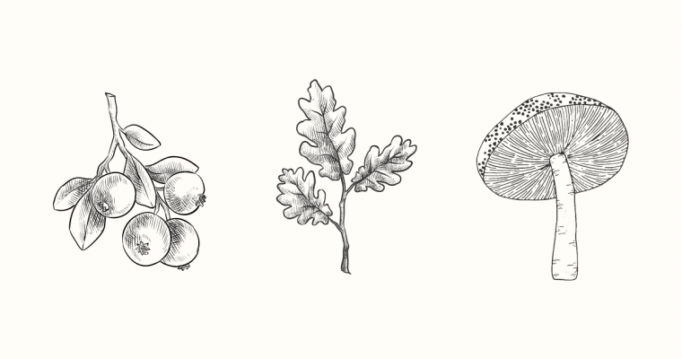 8 Tips For Budget-Friendly AIP Eating