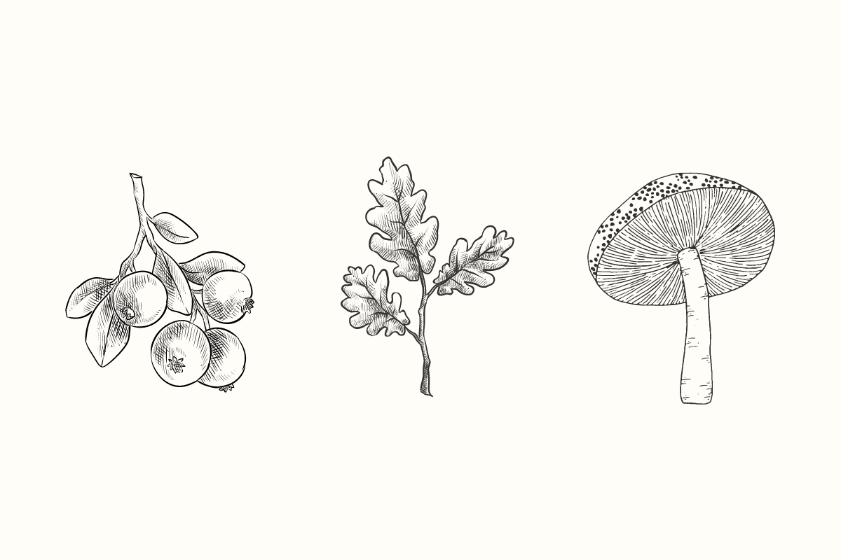 8 Tips For Budget-Friendly AIP Eating