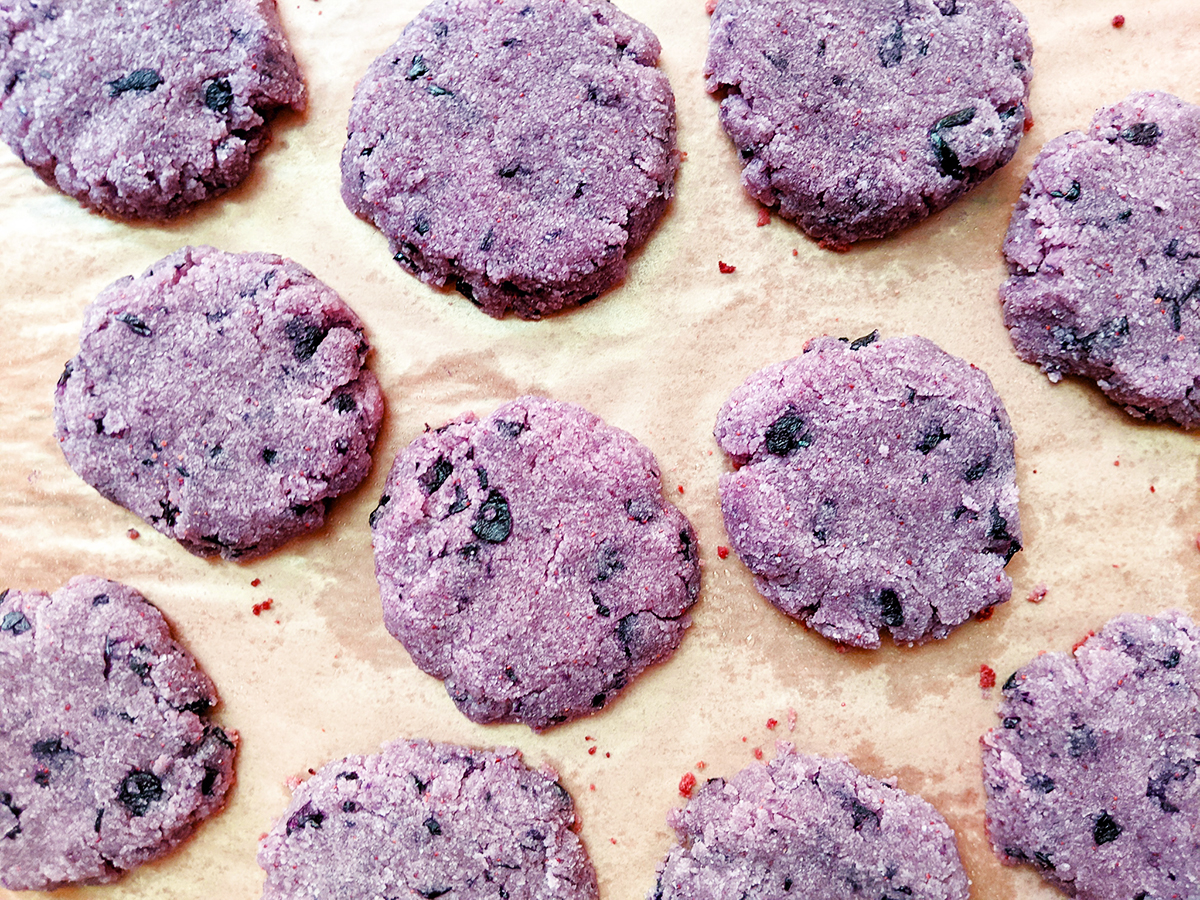 AIP Blueberry Cake Cookies (Top 8 Free)
